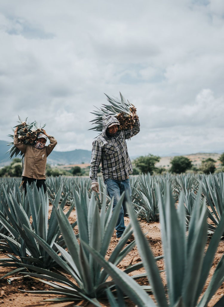 m-_0000_PHOTO-2025-05-19-13-16-51 2