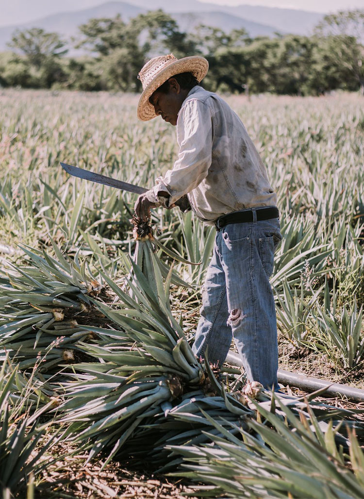 m-_0001_PHOTO-2025-05-19-13-16-51