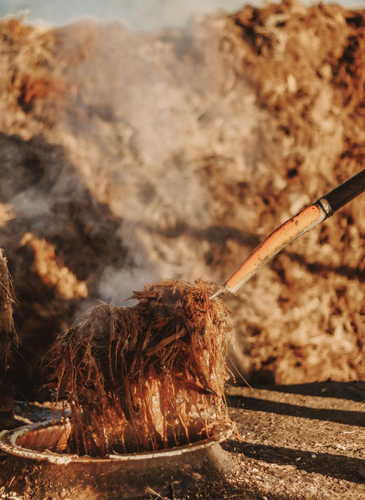 m-_0002_PHOTO-2025-05-19-13-16-50 2