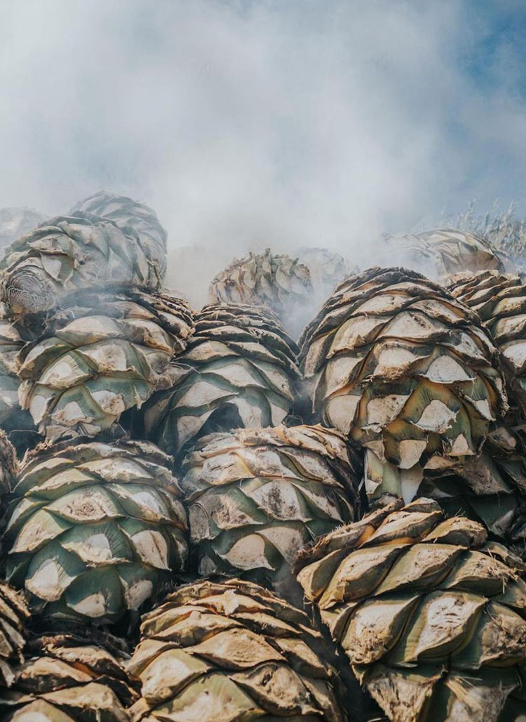 m-_0003_PHOTO-2025-05-19-13-16-49 2