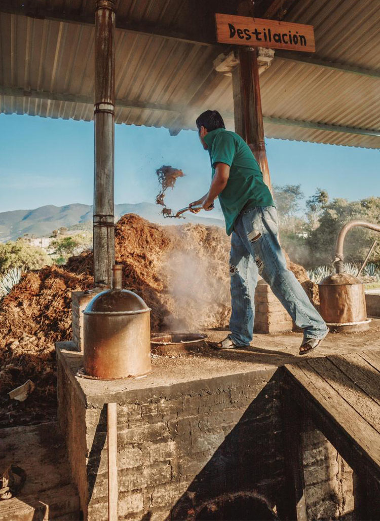 m-_0004_PHOTO-2025-05-19-13-16-50